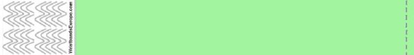 Plain Tyvek Mint Green